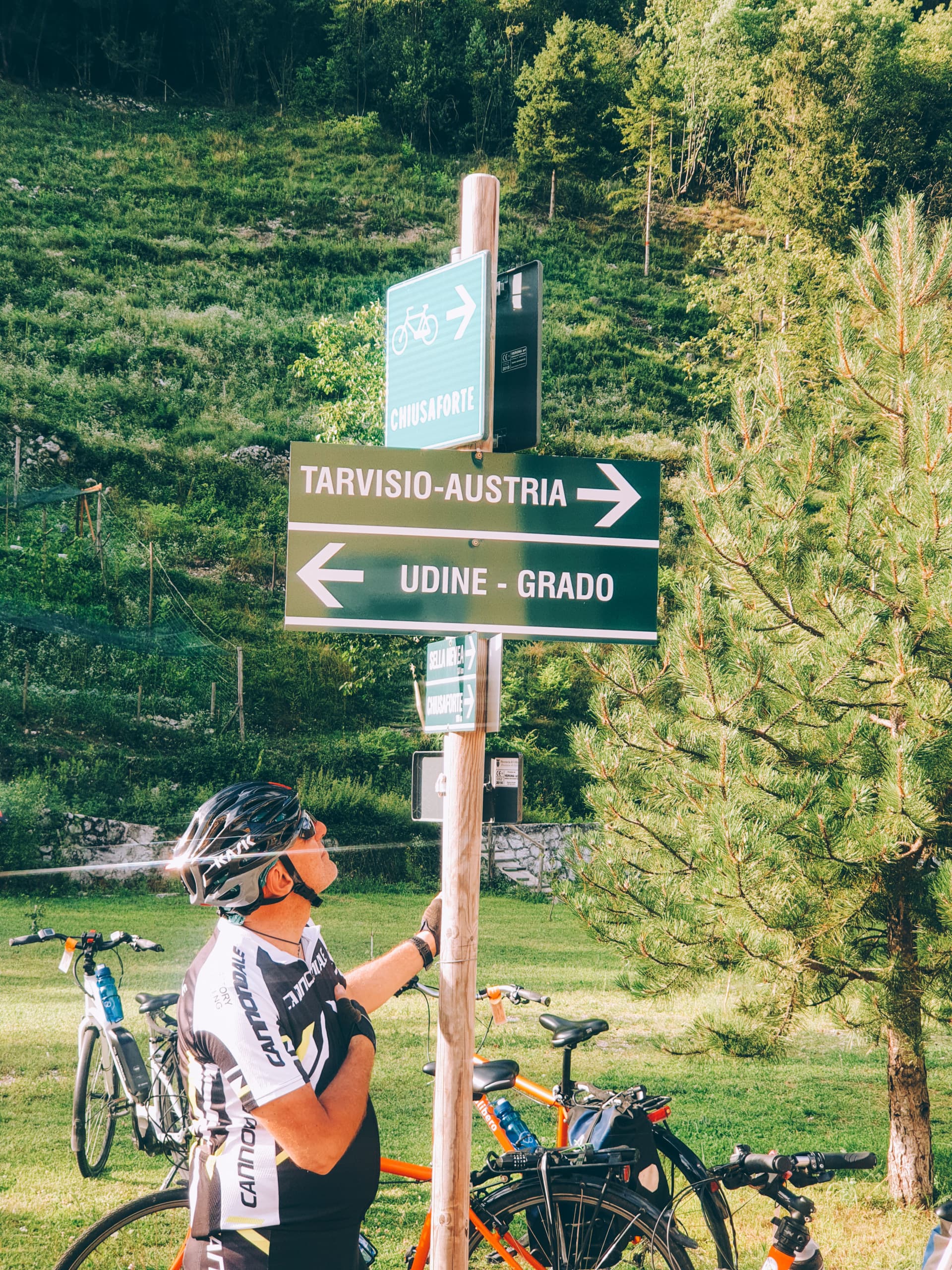 Segnaletica cicloturistica immersa nei boschi lungo la Ciclovia Alpe Adria.
